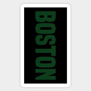 Boston Celtics 13 Magnet